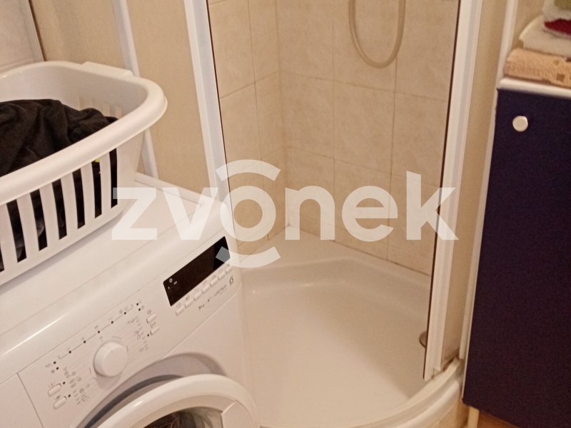 Prodej 1+kk Podlesí