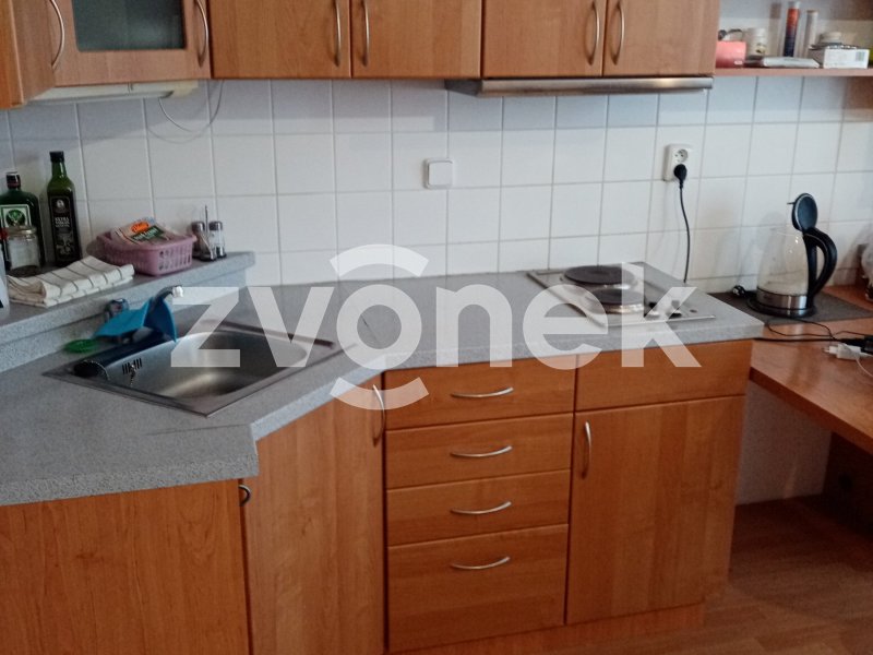 Prodej 1+kk Podlesí