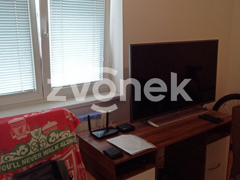 Prodej 1+kk Podlesí