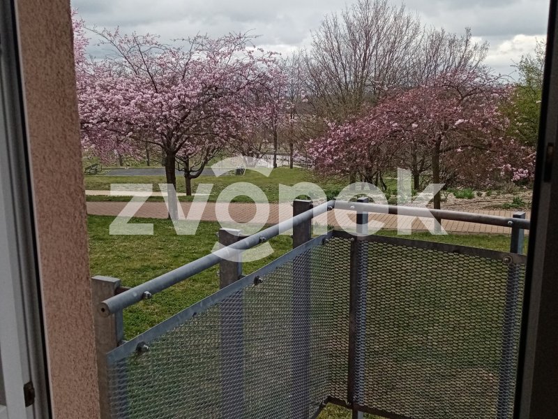 Prodej 1+kk Podlesí