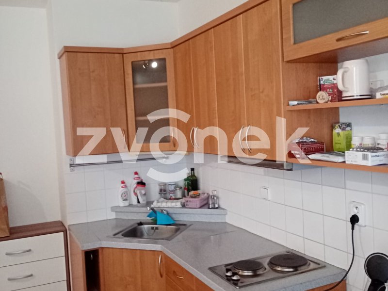 Prodej 1+kk Podlesí