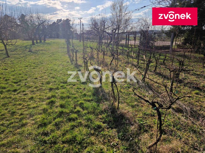 Prodej pozemku v lokalitě Bzenec.