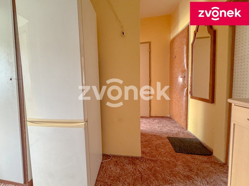 1+1 Zlín - Větrná, ihned