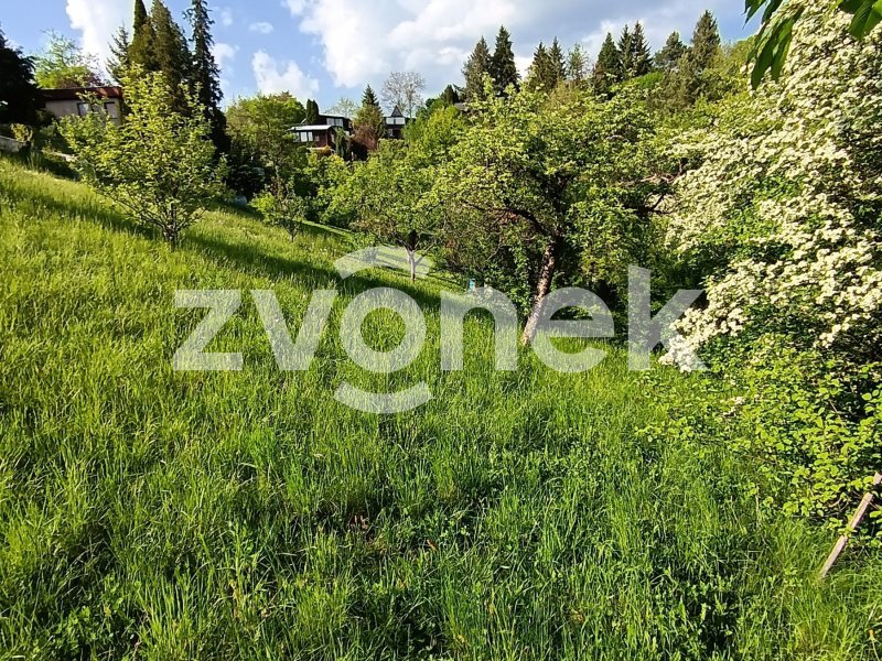 Prodej chaty na Příluku