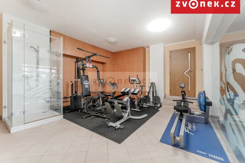 Víceúčelová vila 540 m², Hranice I-Město