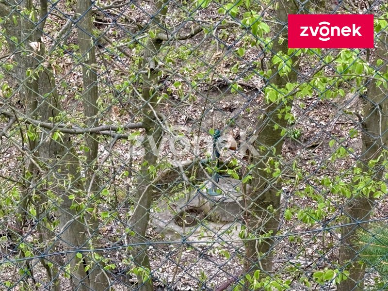 RD Štákovy Paseky u Zlína s velkou zahradou