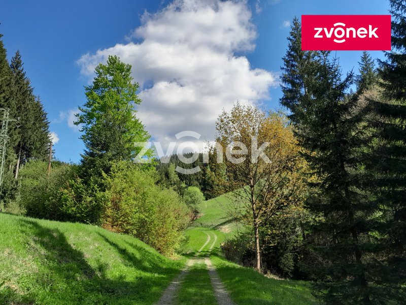 Dřevěnice Velké Karlovice - Bzové