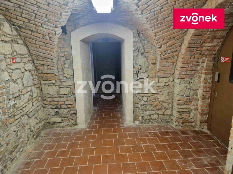 Pronájem obchodního prostoru 650 m², Uherské Hradiště