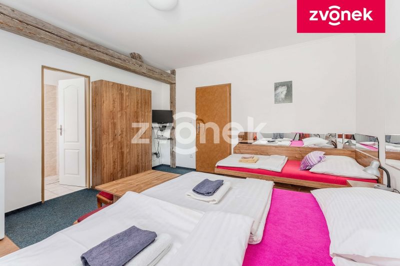 Prodej nemovitosti pro ubytování 400 m², Fryšták - Dolní Ves