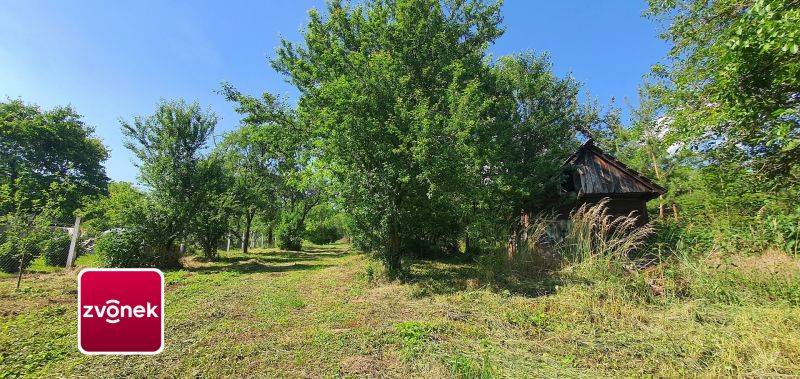 Prodej rodinného domu 300 m², Tečovice