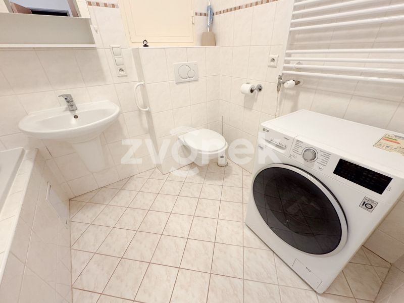 1+kk Zlín - Březnická, velká terasa, ihned