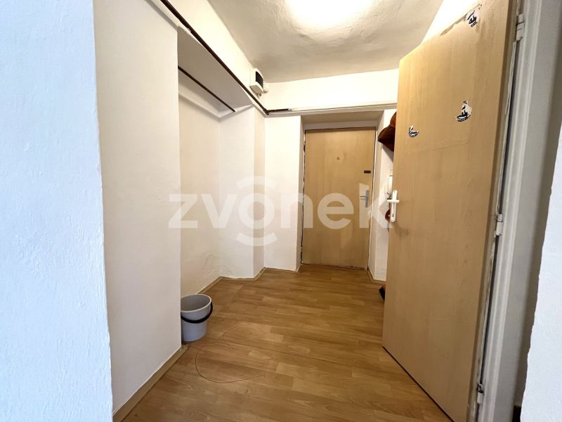 Prodej bytu 1+1 46 m², Hulín