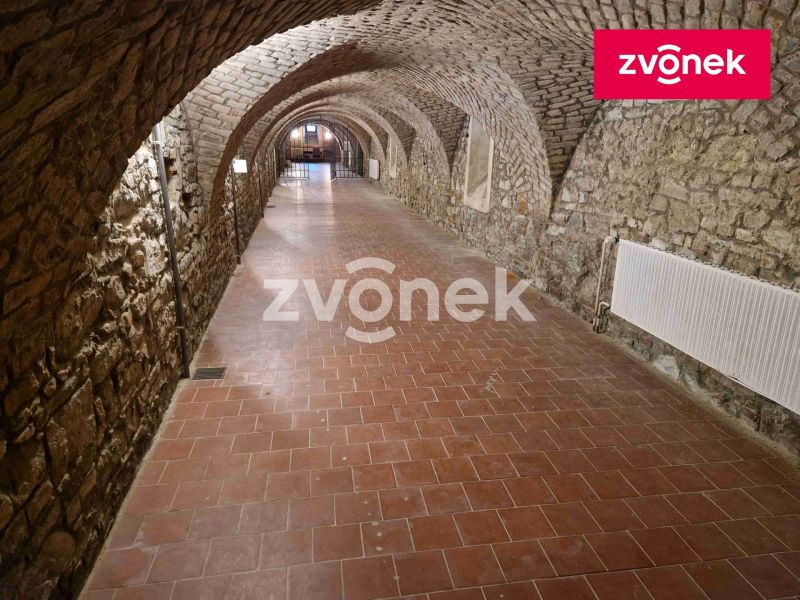 Pronájem obchodního prostoru 650 m², Uherské Hradiště