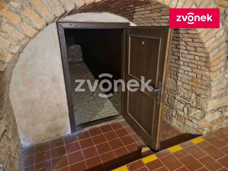 Pronájem obchodního prostoru 650 m², Uherské Hradiště