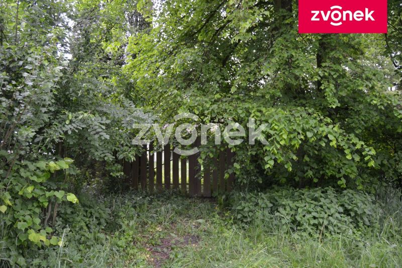Prodej stavebního pozemku 2 553 m², Hustopeče nad Bečvou - Poruba