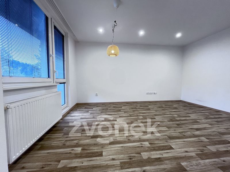 Pronájem bytu 2+kk 60 m², Karolinka