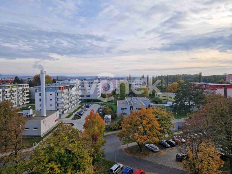 Pronájem bytu 2+1 ve Štěpnicích, Uherské Hradiště