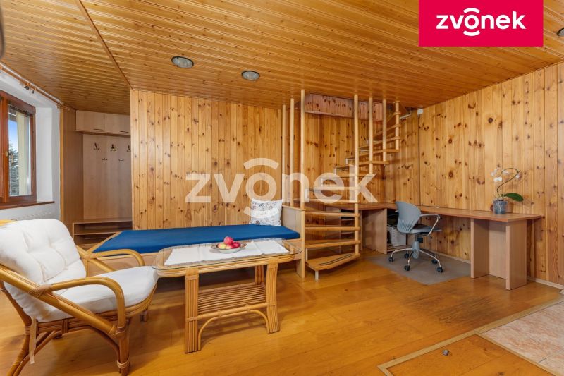 Víceúčelová vila 540 m², Hranice I-Město