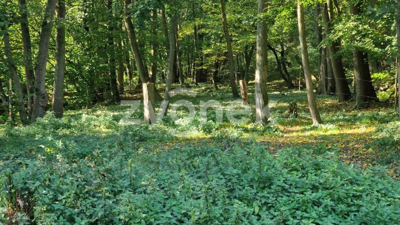 Prodej  pozemku 1 620 m², Halenkovice