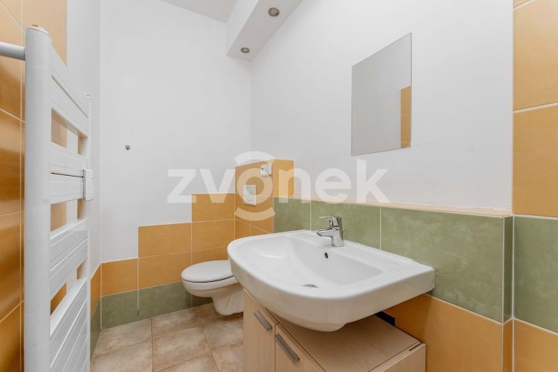 Pronájem bytu 1+kk 27 m², Zlín
