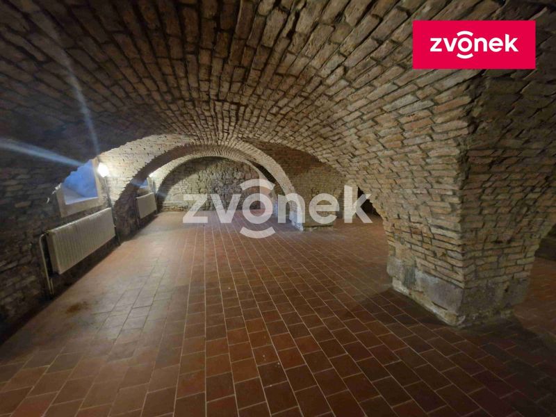 Pronájem obchodního prostoru 650 m², Uherské Hradiště