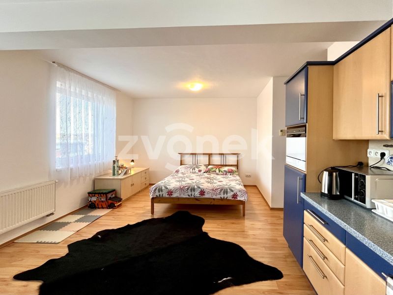 Pronájem bytu 1+kk 30 m², Zlín