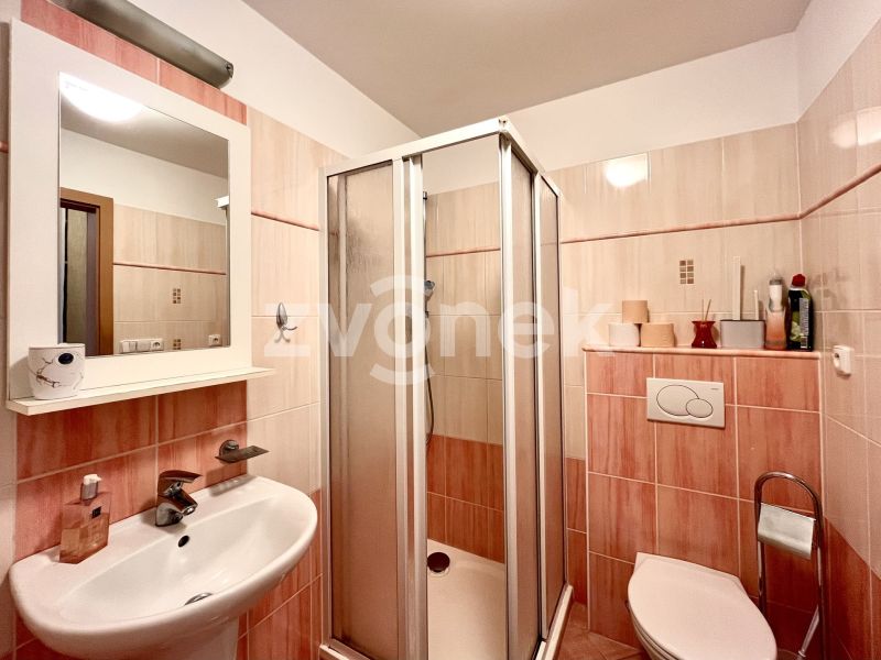 Pronájem bytu 1+kk 30 m², Zlín