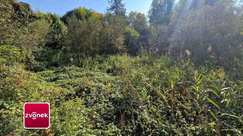 Prodej rybníku 2 136 m², Halenkovice
