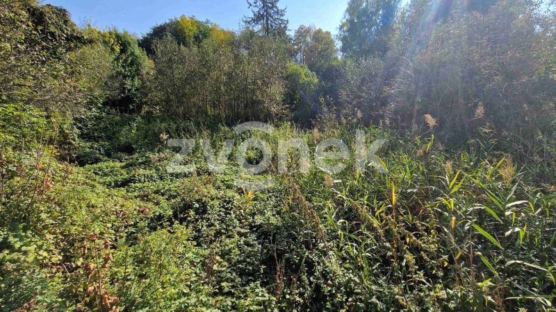 Prodej rybníku 2 136 m², Halenkovice