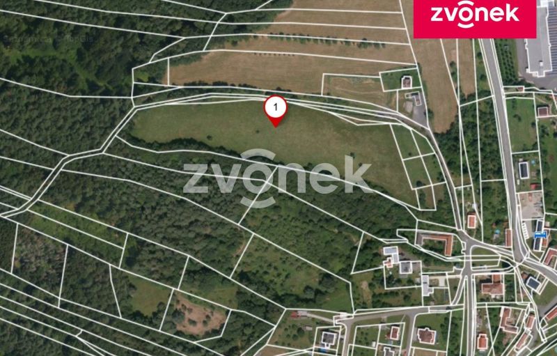 Prodej pole 17 509 m², Ludkovice