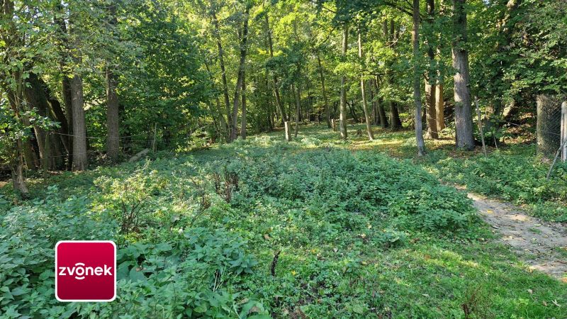 Prodej pozemku, les, rybník, mýtina 3 756 m² v obci Halenkovice