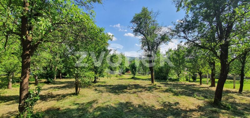 Prodej rodinného domu 300 m², Tečovice