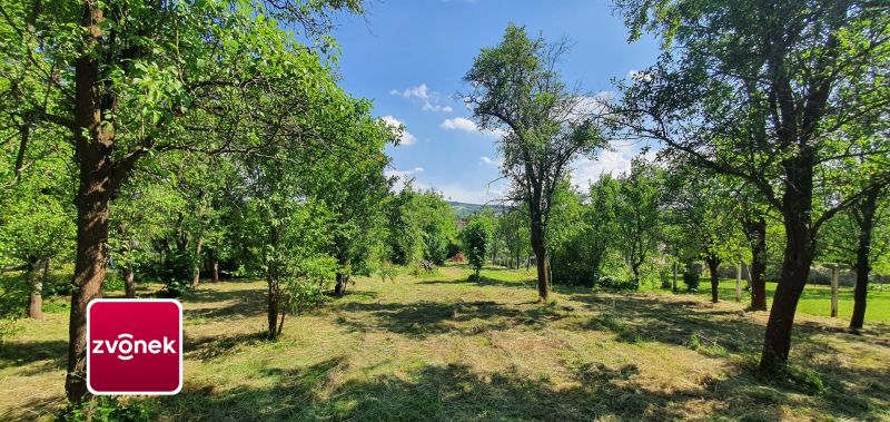Prodej rodinného domu 300 m², Tečovice