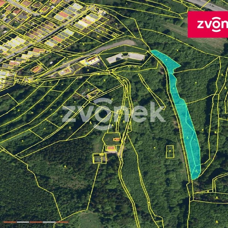 Prodej lesa 4 429 m², Vsetín - Rokytnice