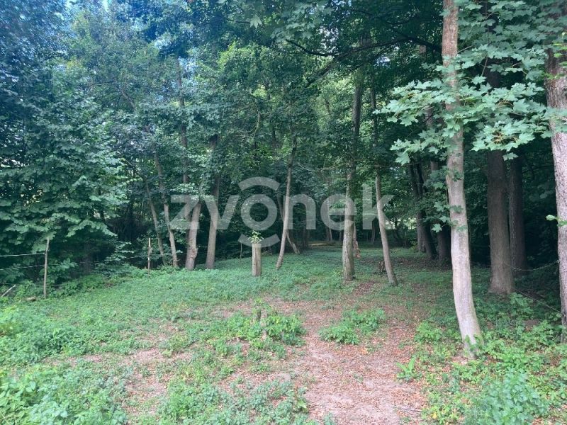 Prodej  pozemku 1 620 m², Halenkovice