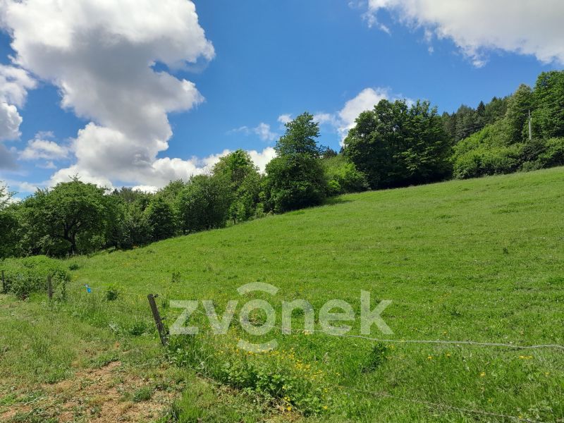 Prodej stavebního pozemku 2 813 m², Vsetín