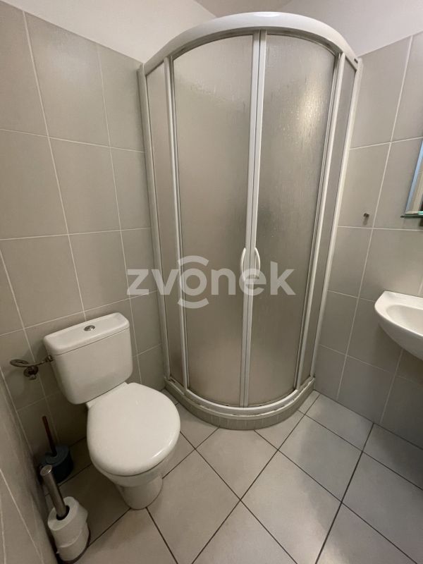 1+kk U Centrálního parku, Zlín s velkou terasou, vybavený
