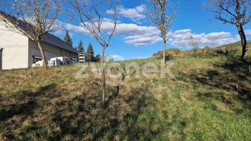 Prodej stavebního pozemku 2 007 m², Pitín