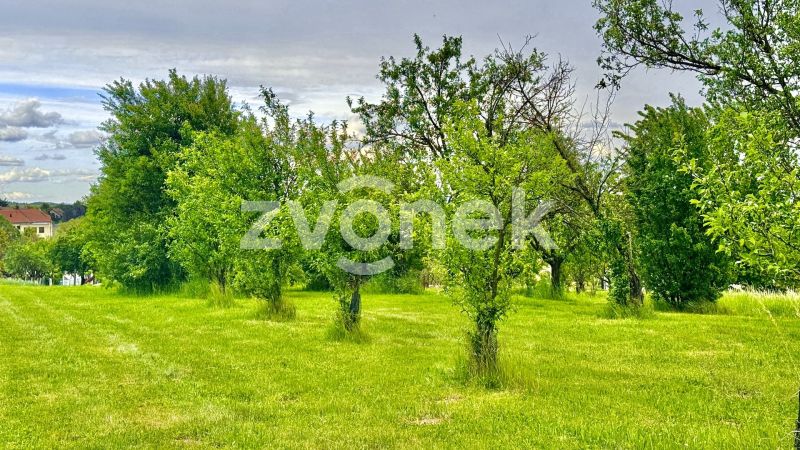 Prodej pozemku - 2 143 m², Zlechov