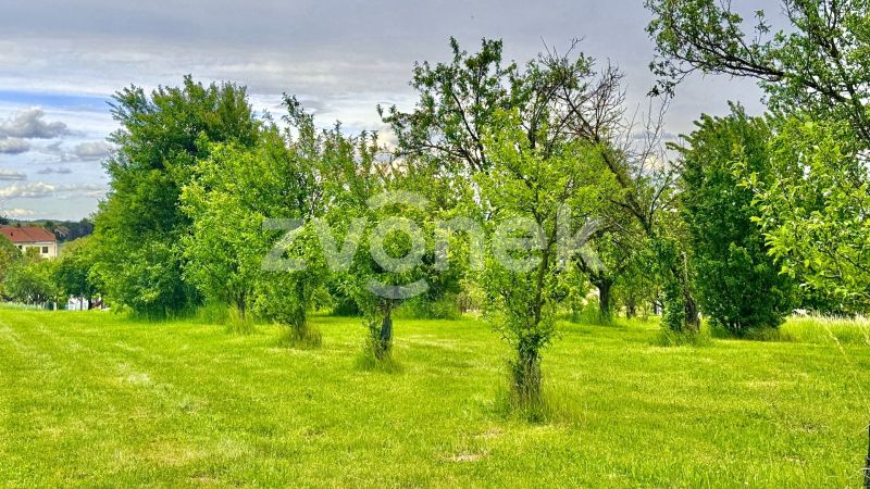 Prodej pozemku - 2 143 m², Zlechov