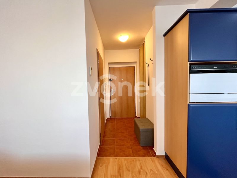 Pronájem bytu 1+kk 30 m², Zlín