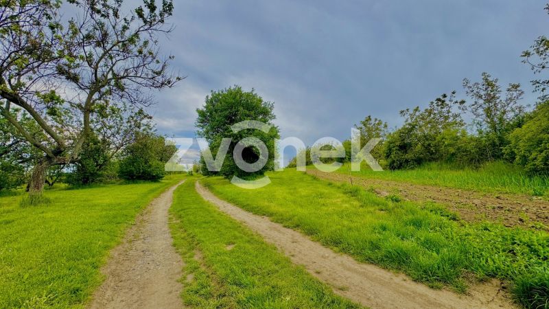 Prodej pozemku - 2 143 m², Zlechov