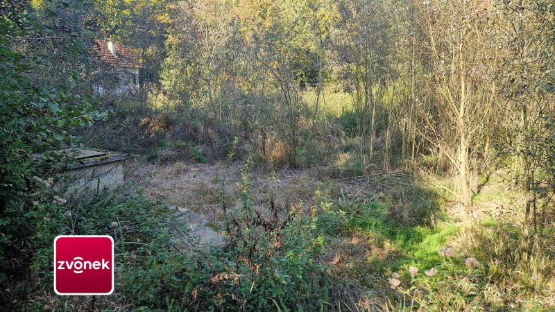 Prodej rybníku 2 136 m², Halenkovice