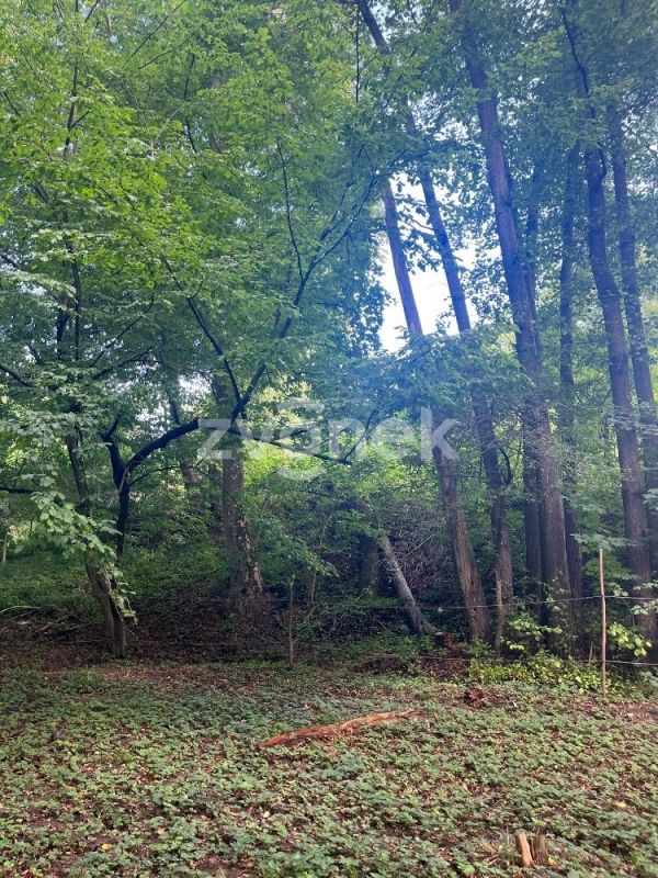 Prodej  pozemku 1 620 m², Halenkovice