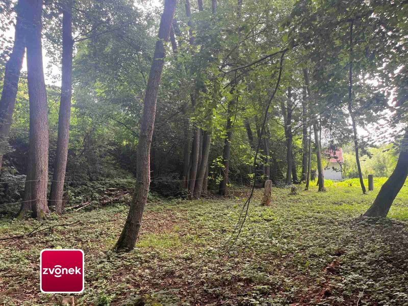 Prodej pozemku, les, rybník, mýtina 3 756 m² v obci Halenkovice