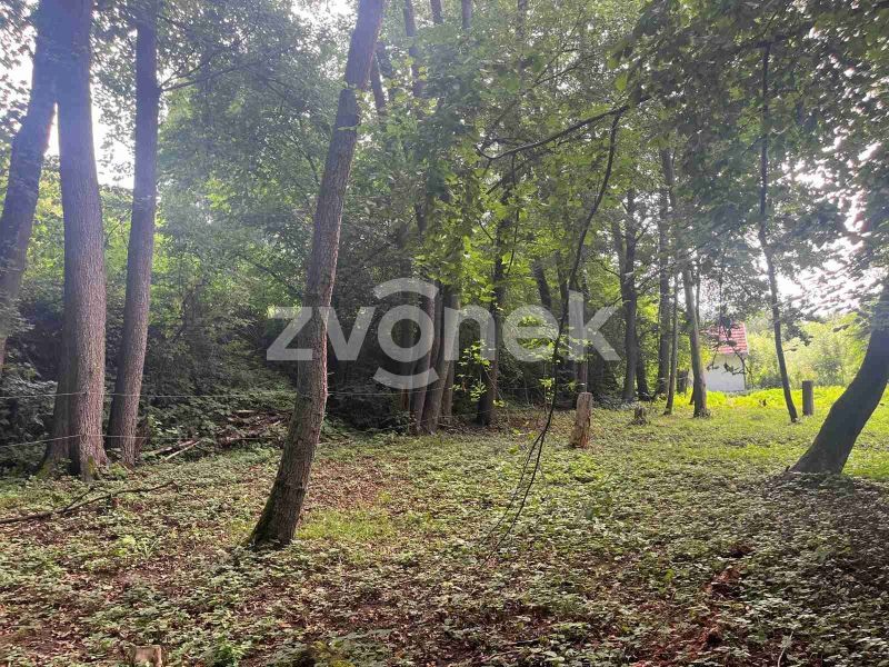 Prodej pozemku, les, rybník, mýtina 3 756 m² v obci Halenkovice
