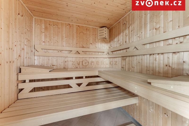 Víceúčelová vila 540 m², Hranice I-Město