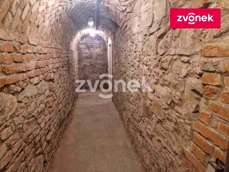 Pronájem obchodního prostoru 650 m², Uherské Hradiště