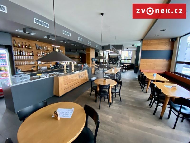Prodej obchodního prostoru 500 m², Holešov