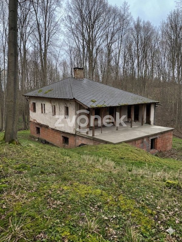 Dvoupodlažní rekreační chata na polosamotě s rozsáhlými pozemky 2,5 ha v Halenkovicích